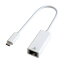 GOPPA GP-CR45GH/W(ۥ磻) USB 3.2 Gen 1 Type-C³ ӥåLANץ