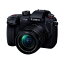 Ĺ5ǯݾաۥѥʥ˥å(Panasonic) LUMIX DC-GH5M2M ɸॺ󥺥å