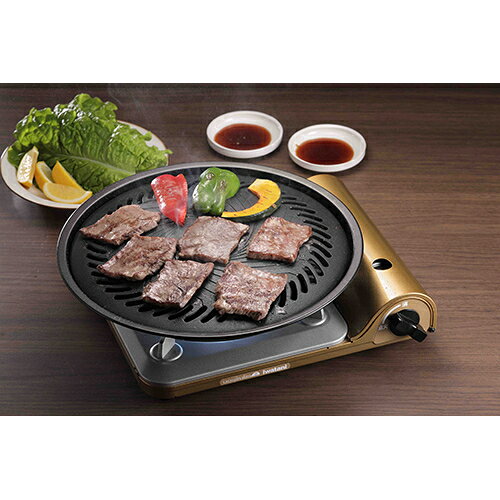 特価COMのイワタニ(Iwatani) CB-A-YPL 焼き肉プレート Lサイズ カセットフー専用 プレートのみ｜アングル2