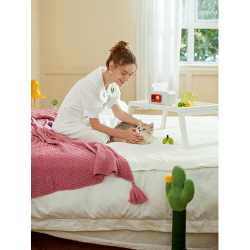 MUZEN �ߥ塼���� MW-Q1IRD ��å� Sticker Speaker ���ƥå������ԡ����� MWQ1IRD