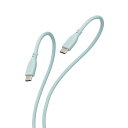 GR(ELECOM) MPA-CCSS10GN(p[O[) ^CvC P[u USB Type C to Type C 1m PD