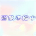 KOITO P1584 KOITO ミニチュア球 12V1.2W 2個入り