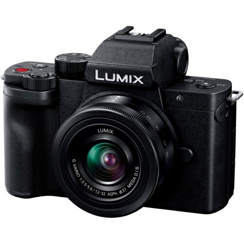 パナソニック(Panasonic) LUMIX DC-G100DK レンズキット マイクロフォーサーズ ミラーレス一眼カメラ