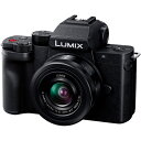 パナソニック(Panasonic) LUMIX DC-G10