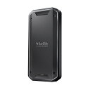 SanDisk Professional SDPS31H-001T-GBC1D PRO-G40 SSD Thunderbolt 3/USB-C Ή 1TB