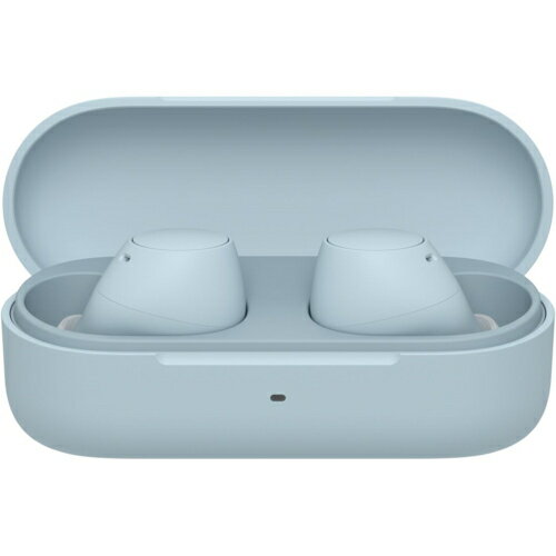 ソニー SONY WF-C510-L ブルー 完全ワイヤレスイヤホン Bluetooth5.3 外音取込機能 WFC510LC