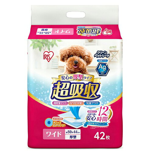 サンプル画像2