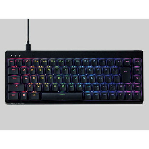 エレコム ELECOM TKVK600ABK ブラック ゲーミングキーボード USB有線 71キー 日本語配列 GAMING V custom