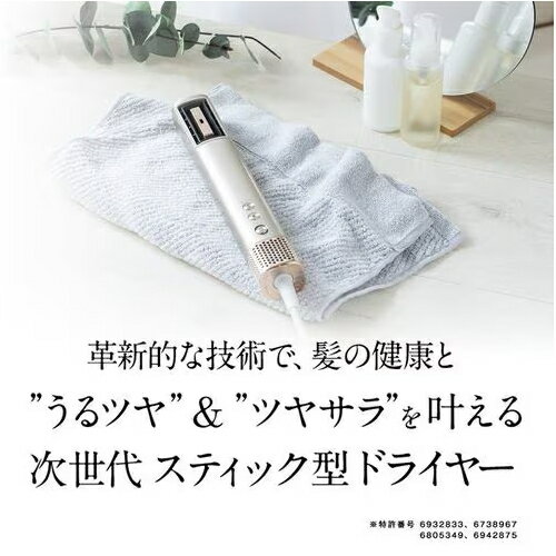 【長期保証付】sanobi(サノビ) BL-HD1-SG シャンパンゴールド ダブルアクアイオンドライヤー