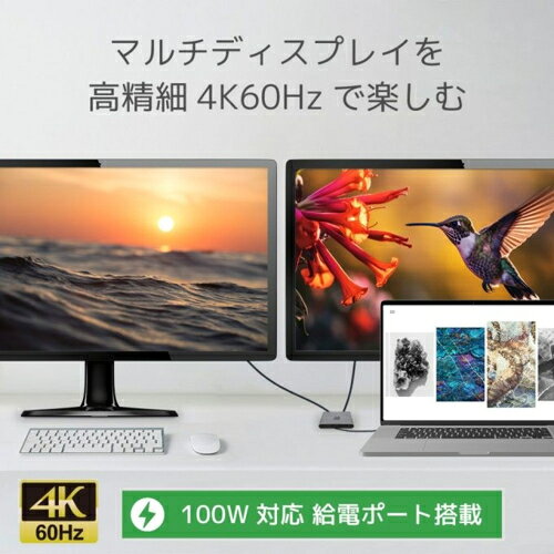RATOC systems RS-UCHD2-PD USB Type-C to デュアルHDMIディスプレイアダプター PD...