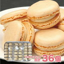 <90円/個!最終売り尽くし>36個入り ベルギー産 高級 マカロン(バニラ)BARRY CALLBAUTバリーカレボーのチョコレート使用 (12個×3P)冷凍