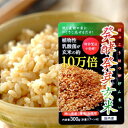 発酵発芽玄米 300g 国産 乳酸菌 10万倍 送料無料