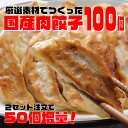 メガ盛り100個 国産 餃子 送料無料 | 肉餃子 ぎょうざ ギョウザ ギョーザ おかず 冷凍食品