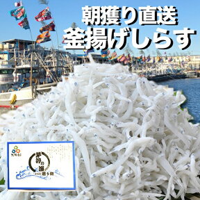 漁港より直送釜揚げしらす 1kg しらす 釜揚げ シラス 大容量 メガ盛り 冷蔵便 釜揚げシラス お取り寄せグルメ