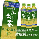 【特定保健用食品】伊藤園 お〜いお茶 カテキン緑茶 500ml×48本（2ケース）送料無料 おーいお茶 緑茶 血中コレステロール 体脂肪に働く カテキン 茶葉 茶カテキン