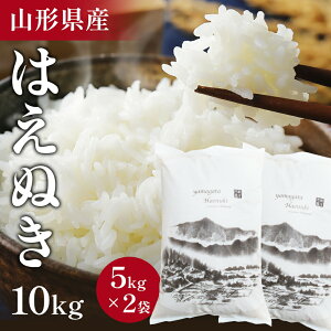 米 10kg お米 22年連続 特A受賞！山形県産 はえぬき 10kg 送料無料 | 精米 米 新米 最高ランク 令和3年産 10kg 産地直送