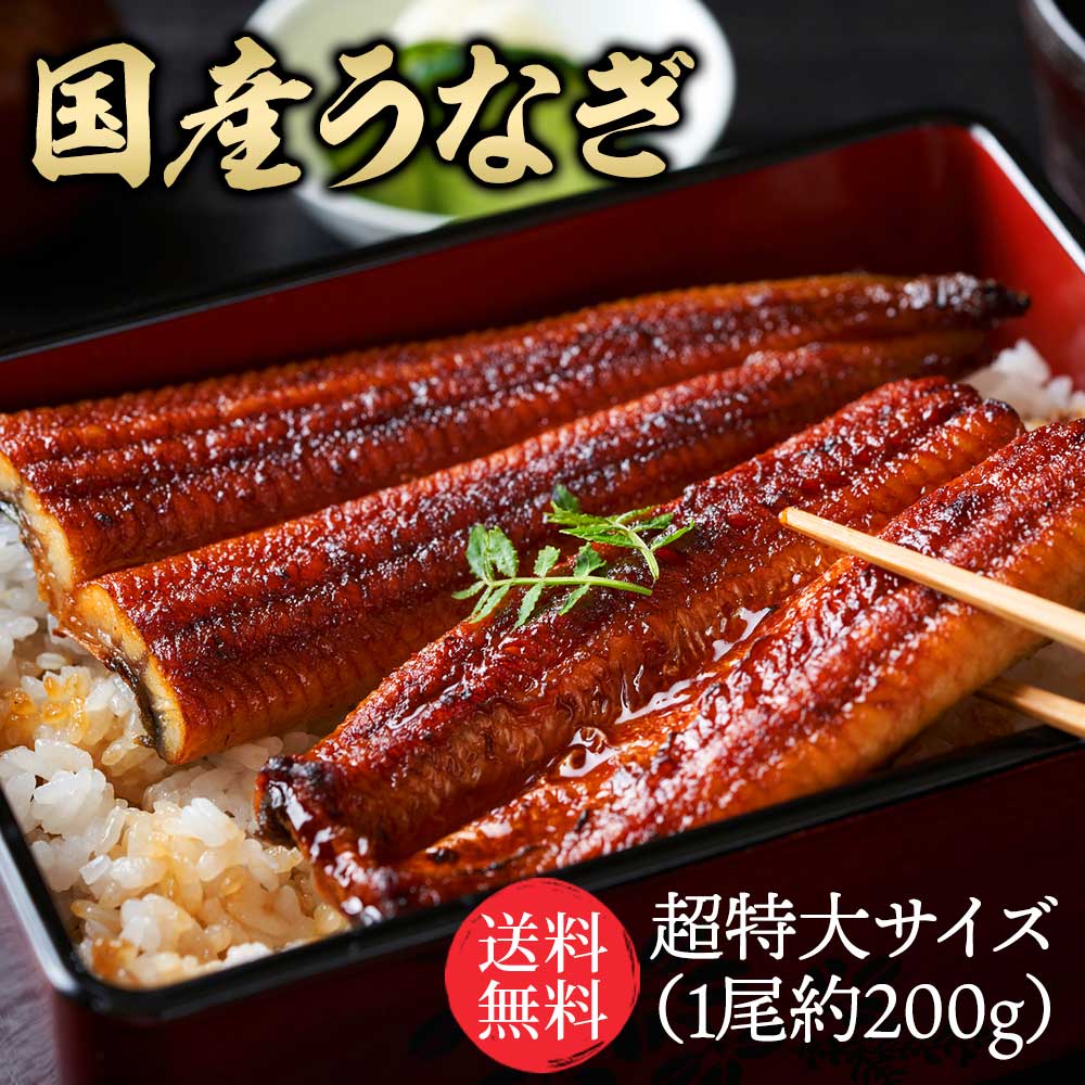 蒲焼き 【割引SALE中】＼3個購入で1尾無料プレゼント／特大国産うなぎ200g×1尾 市場直送 父の日 関西焼き 高評価 国産 特大 うなぎ蒲焼き 関西焼き うなぎ 特大サイズ 鰻 ウナギ 国産うなぎ 国産鰻 特大 蒲焼 うなぎ蒲焼 うなぎの蒲焼き