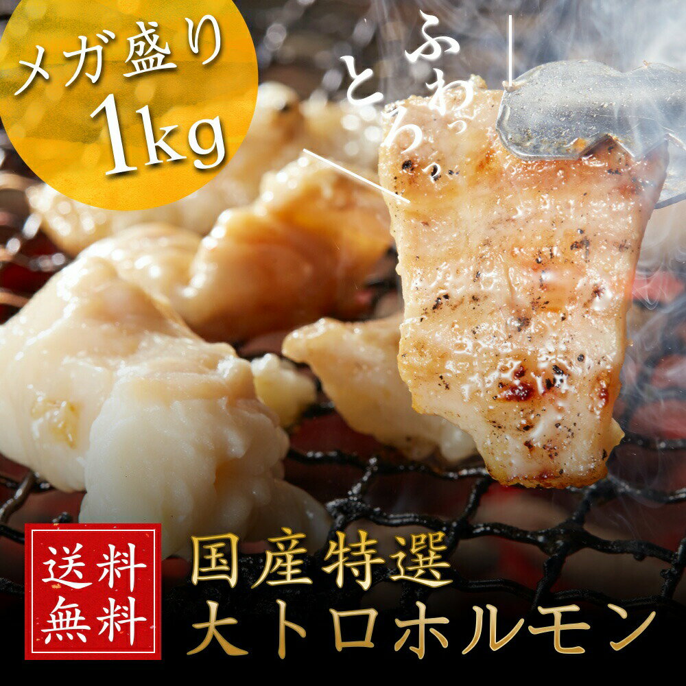 メガ盛り 1kg 国産 大トロホルモン（小腸）送料無料 国産牛 ホルモン 小腸 もつ鍋 BBQ 焼肉 もつ煮込み モツ バーベキュー