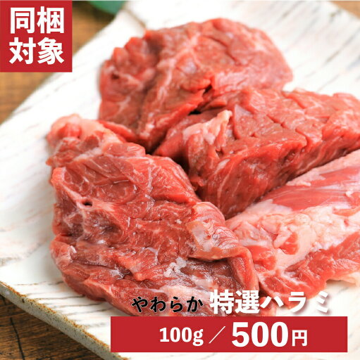 特選ハラミ 100g 特選ハラミ 100g