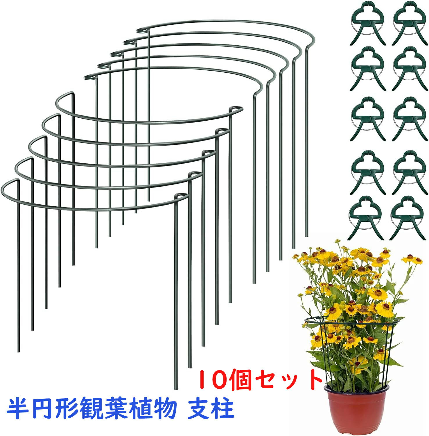 支柱 園芸 10個セット 半円形観葉植物 支柱 植物サポートリング 花ささえ 農業用 園芸用品 ガーデニング 植物支柱 ココナッツ 観葉植物 つる性植物 観葉支柱 誘引 支柱 半円形25cmx40cm 20cmx35cm 簡単設置 花支え 支柱棚 フラワー支柱 観賞植物用/野菜用/園芸用/農業用