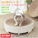 【4月30日限定月末お疲れ様セール★最大P5倍★15%OFF】猫爪とぎ 遊べるボール付き サークルタイプ 本体と詰替え段ボール1枚付き 猫用 爪とぎ 猫 ネコ ...