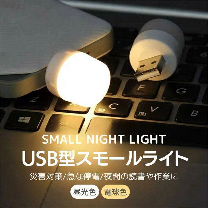 即納「2点セット入」USB型スモールライト 豆電球 USB LEDデスクライト Light USB電源　ノートパソコン　LED ライト 暗い場所や夜間のパソコン操作を明るく、就寝前の読書などに最適 防災 アウトドア用に最適　計画停電時の明かりに 昼光色 電球色