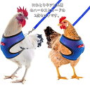ペット用品 散歩 調節可能 薄手 通気性 蝶ネクタイ Dカン メッシュ 胴輪 猫 犬 鳥用 アヒル 鶏用 2点セット リード ハーネス