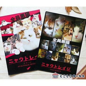 【メール便対応可】クリアファイル『ニャウトレイジ』猫/ねこ/A4サイズ/文房具/ステーショナリー/オフィス/事務用品/かわいい/おもしろ/写真/ギフト/贈り物/動物/とことこサーカス/てまりのおうち/