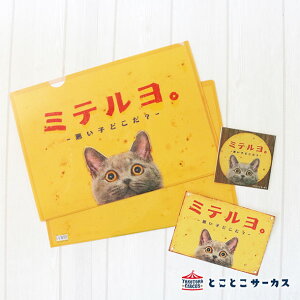 【メール便対応可】クリアファイル『ミテルヨ。』猫/ねこ/A4サイズ/文房具/ステーショナリー/オフィス/事務用品/写真/かわいい/おしゃれ/空/ギフト/贈り物/動物/とことこサーカス/てまりのおうち