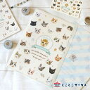 【メール便対応可】クリアファイル『NIRAMEKKO』猫/ねこ/A4サイズ/文房具/ステーショナリー/オフィス/事務用品/かわいい/おしゃれ/写真/ギフト/贈り...