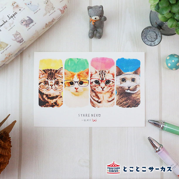 【メール便対応可】ポストカード『SYARENEKO×GLASS』猫/ねこ/ハガキ/絵葉書/メッセージ/文房具/ステーショナリー/かわいい/おもしろ/メガネ/写真...