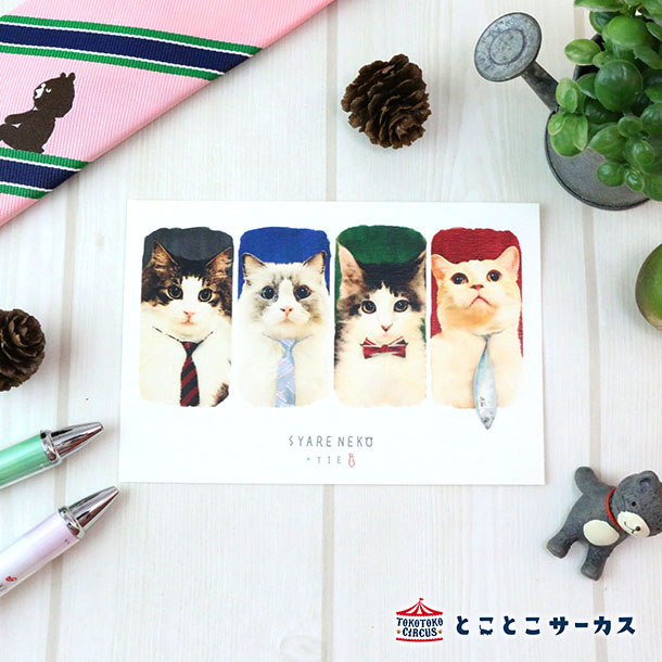 【メール便対応可】ポストカード『SYARENEKO×TIE』猫/ねこ/ハガキ/絵葉書/メッセージ/文房具/ステーショナリー/かわいい/おもしろ/ネクタイ/写真/...