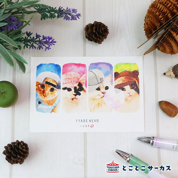 【メール便対応可】ポストカード『SYARENEKO×CAP』猫/ねこ/ハガキ/絵葉書/メッセージ/文房具/ステーショナリー/かわいい/おもしろ/帽子/写真/ギフ...