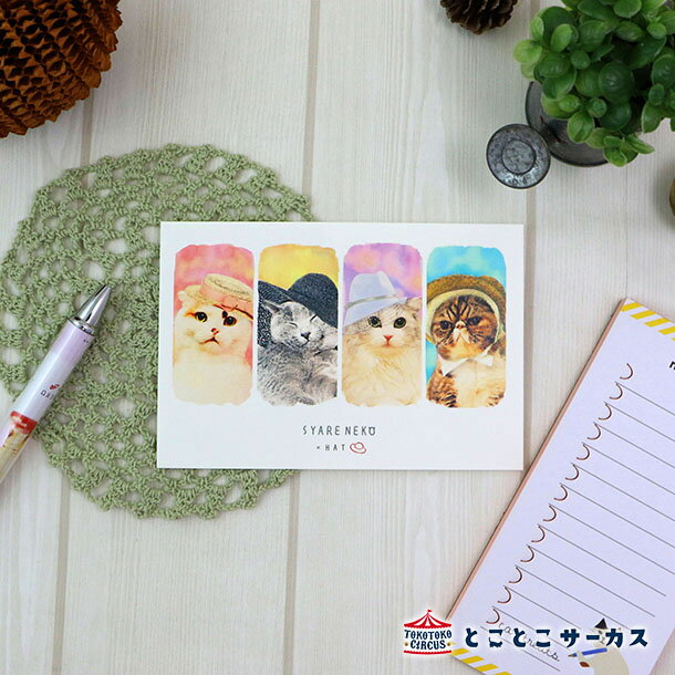 【メール便対応可】ポストカード『SYARENEKO×HAT』猫/ねこ/ハガキ/絵葉書/メッセージ/文房具/ステーショナリー/かわいい/おもしろ/帽子/写真/ギフ...
