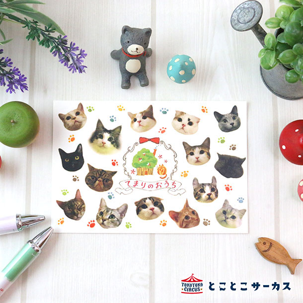 【メール便対応可】ポストカード『第1回総選挙』猫/ねこ/ハガキ/絵葉書/メッセージ/文具/ステーショナリー/かわいい/おしゃれ/写真/ギフト/贈り物/動物/とこ...