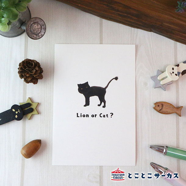 【メール便対応可】ポストカード『I'm a cat』猫/ねこ/ハガキ/絵葉書/メッセージ/文具/ステーショナリー/かわいい/おもしろ/写真/ギフト/贈り物/動物...