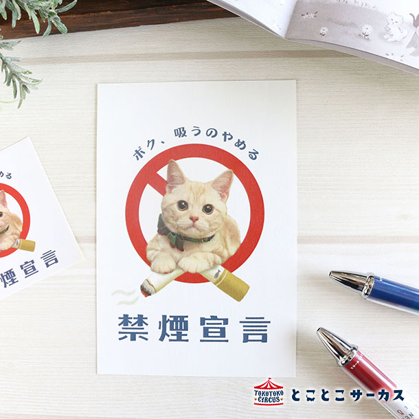 【メール便対応可】ポストカード『禁煙宣言』猫/ねこ/絵葉書/メッセージ/文房具/ステーショナリー/オフィス/事務用品/かわいい/おしゃれ/花/ギフト/贈り物/動...