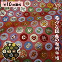 和柄 生地 金襴生地 京都 西陣織 小丸吉祥 (全2色) 10cm単位 切り売り
