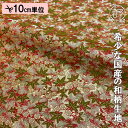 和柄 生地 金襴生地 京都 西陣織 紅葉文 10cm単位 切り売り