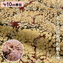 和柄 生地 金襴生地 京都 西陣織 遠山しだれ桜 (全2色) 10cm単位 切り売り