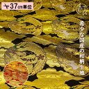 和柄 生地 金襴生地 京都 西陣織 四釜雲龍 (全2色) 生地巾77cm×長さ37cm単位 切り売り パネル柄