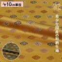 和柄 生地 金襴生地 京都 西陣織 木瓜龍文 (全2色) 10cm単位 切り売り