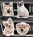 【送料無料】カスタムペットアクリルフォトホルダー 車用エアコン装着タイプ 名入れ可 犬 猫 写真オーダー 車内インテリア ギフト