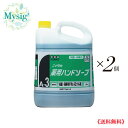 NIITAKA ニイタカ 《医薬部外品》薬用ハンドソープ A-3 5kg 無香料《つめかえ用》 ×2個