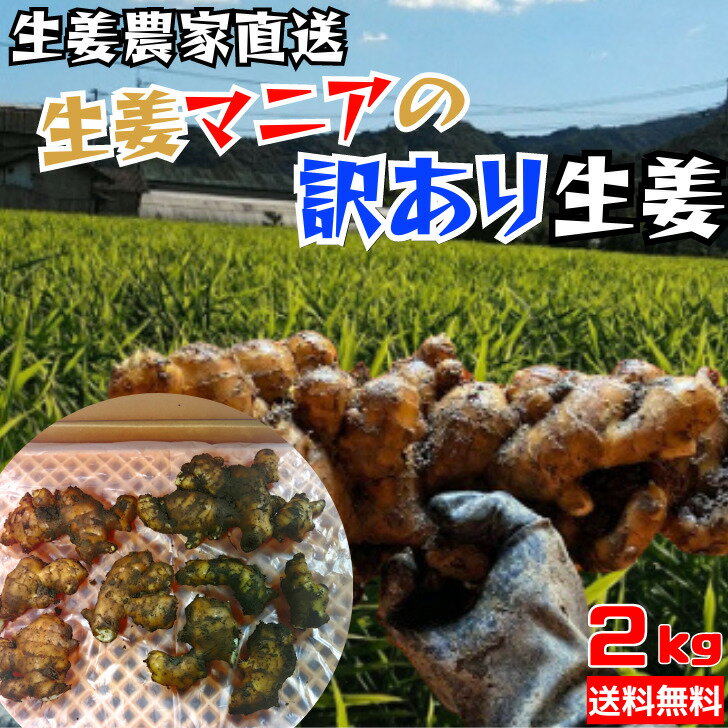 【期間限定割引】 2600円→1600円農家直送 生姜マニアの訳あり生姜 2kg 高知県産 生姜 しょうが 訳あり 使いやすい 農家 国産 温活 野菜 料理 送料無料(北海道、沖縄除く)