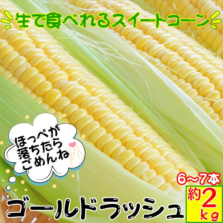 商品情報名称とうもろこし品種ゴールドラッシュ産地高知県産特徴大きさはやや大きめで、味は甘くて美味しいとうもろこしとなります。糖度が一番乗る、日の出前の朝採れ当日発送（クール便）を約束します。生で食べれるスイートコーン注意・まれに先端まで実が入っていない事があります。・できる限り減農薬にて栽培しております為、　まれに虫が混入する場合がございます。発送について《7/9頃〜順次発送予定》※天候により、10日前後左右します。《5/27頃～順次発送予定》ゴールドラッシュ とうもろこし【約2kg6〜7本】 朝採り 農家直送 生で食べられる スイートコーン 高知県産 お取り寄せ グルメ 送料無料 小ぶりですが、本数多めにご提供いたします！※発送時期は天候により、10日前後左右いたします。 初夏の贅沢グルメの定番『ゴールドラッシュ おおものシリーズ』粒が柔らかいので生で食べれる平均糖度20度生でも食べられる新鮮なスイートコーン！茹でても美味しい！焼いても美味しい！スープにしても美味しい！夏の万能野菜です！！糖度が一番乗る、日の出前の朝採れ当日発送（クール便）を約束します。初めて食べる方は、ぜひ生で一度食べてみてください！朝採れのスイートコーンは、とにかく甘いので一度お試しください！茹でるともっと甘くなります！BBQなどで焼いて食べても抜群に美味しいです！品種の特徴として、やや大きめので「おおもの」シリーズとも言われています。天候の都合によりまれに先端まで実が入ってない場合がございます。【3cm約指2本分以内】切り落としてお召し上がりください。やむおえず自然災害等の影響で中止になる場合がございます。味は甘くて、とても美味しいとうもろこしです！是非ご家庭で当農園のスイートコーン『ゴールドラッシュ』をお楽しみください。※ご注意※・まれに先端まで実が入っていない事があります。・できる限り減農薬にて栽培しております為、まれに虫が混入する場合がございます。 2