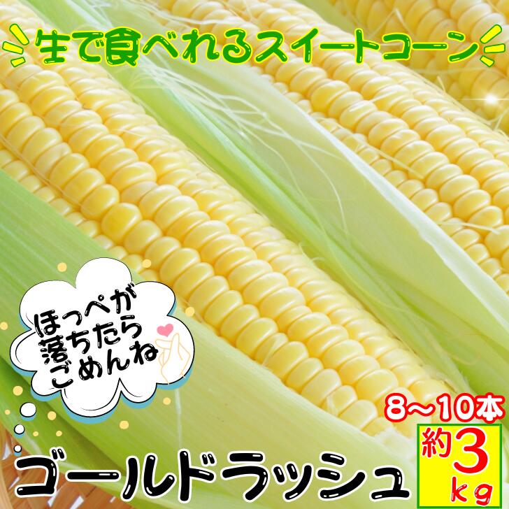 【スーパーセール前倒しで割引しちゃいます！】ゴールドラッシュ とうもろこし【約3kg 8～10本】 朝採り 農家直送 生で食べられる スイートコーン 高知県産 お取り寄せ グルメ 送料無料