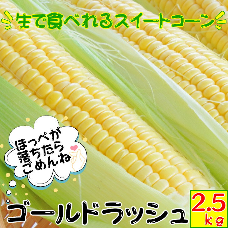 《6/20頃〜順次発送予定》ゴールドラッシュ とうもろこし【2.5kg5～7本】 朝採り 農家直送 生で食べられる スイートコーン 高知県産 お取り寄せ グルメ 送料無料