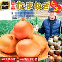 玉ねぎ 淡路島の新たまねぎ 玉葱 甘い新タマネギ 新たま お歳暮 御歳暮 からくない 淡路島のたまねぎ 甘い タマネギ やわらかい 訳あり【選べるB品玉ねぎ・B品新たまねぎ 1kg or 3kg】4～5個 or 12個前後 日本産 淡路島 ※ 苗 ふるさと納税 10kg 20kg ではありません