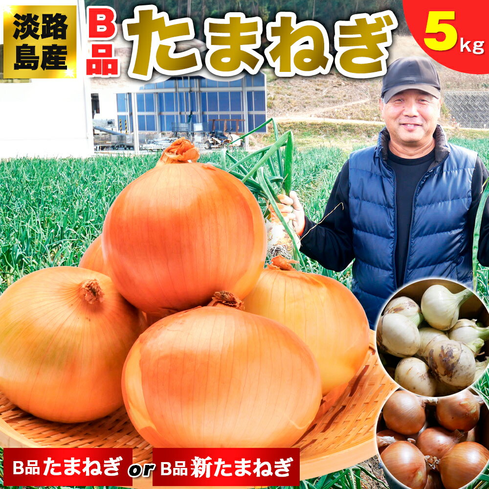 【兵庫県のお土産】野菜・きのこ